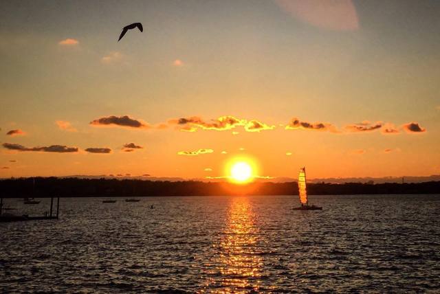 15311053_10101306037856825_1451233594_o