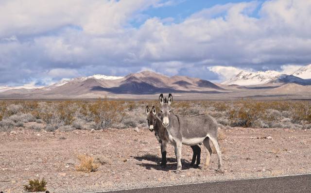 16389376_10101382789810295_2030775230_o