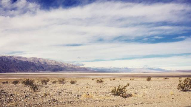 16521552_10101389370771995_968458940_n