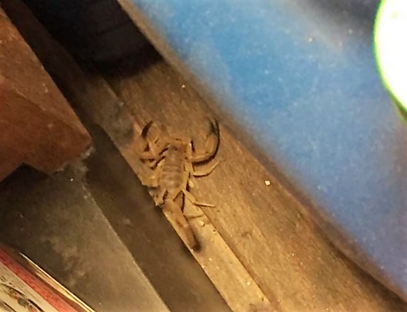 16558441_10101389374379765_847532548_n