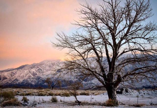 16559414_10101389370921695_1504401907_n