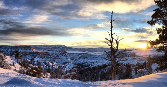 16652454_10101389370856825_1287165336_n