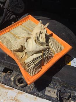 18051852_10101462753138145_1192553825_n